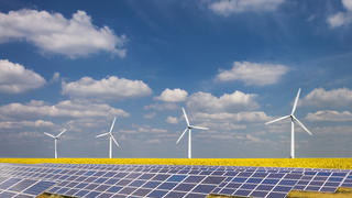 Les énergies renouvelables se développent fortement partout dans le monde