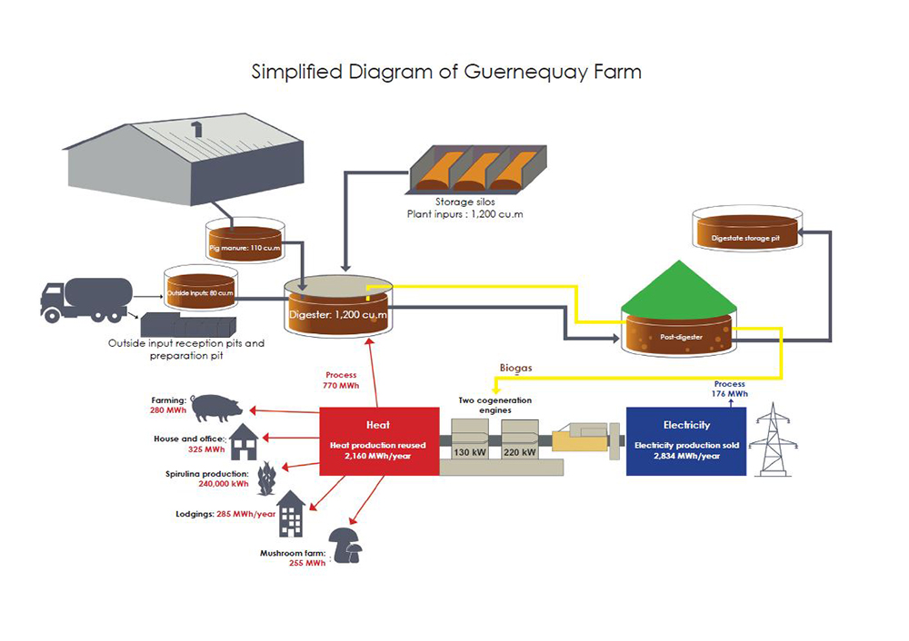 Simplified diagram of the agricultural anaerobic digestion farm