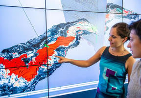 Modeling a hydrocarbon deposit on a screen wall