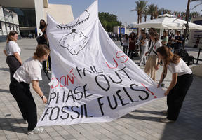Climate activists at COP28 in Dubai