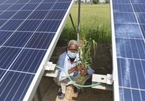 Solar panels energy transition India