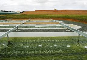 Bassins de culture de micro-algues sur le site du Vigeant à Poitiers