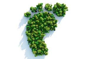 Green Footprint