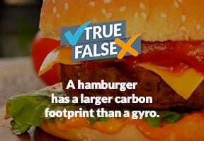 Fooprint_Hamburger