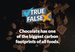 Footprint_Chocolate