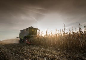 Le développement des biocarburants