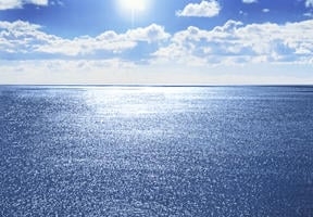 L'acidification des océans