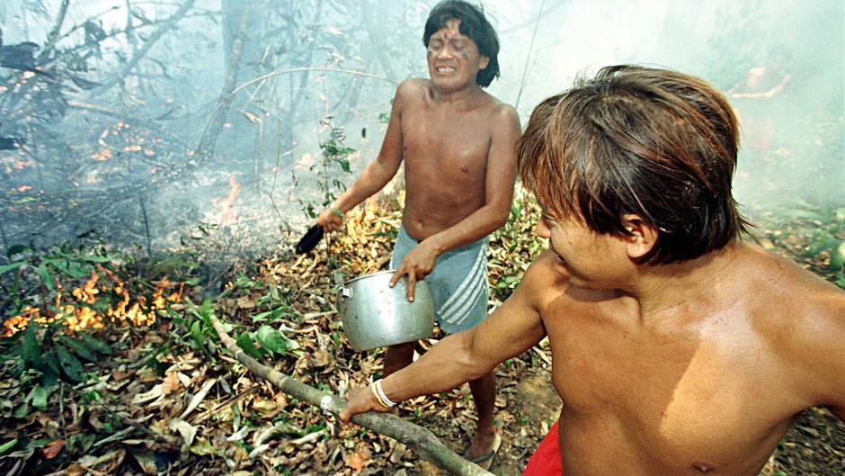 Forêt amazonienne