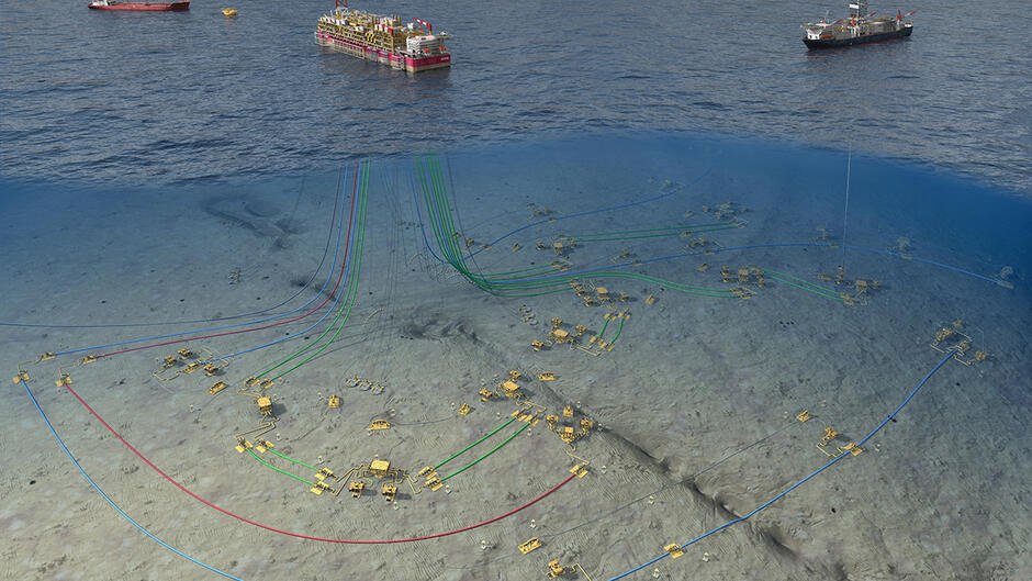 14 – A Regular Underwater Plant