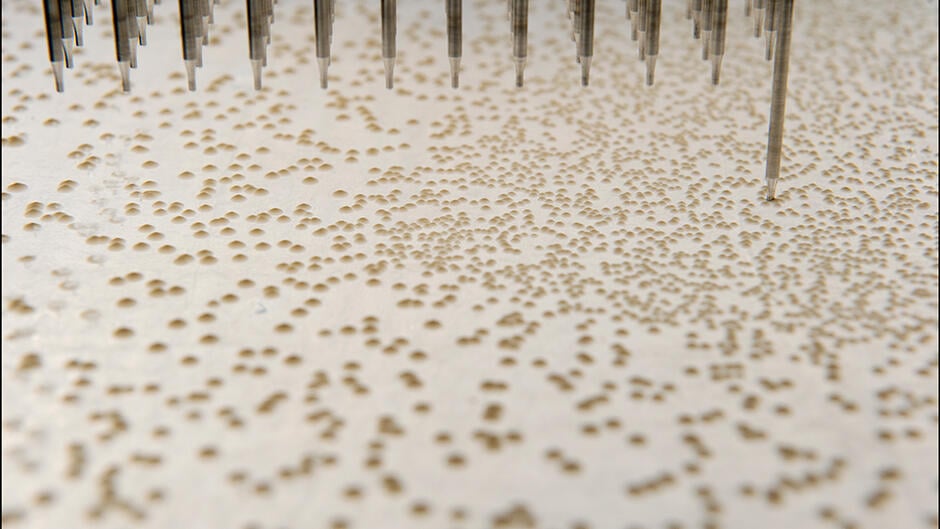 14 - Living factories