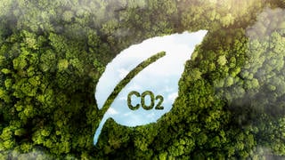 Forêt avec une rivière en forme de feuille et une inscription CO2