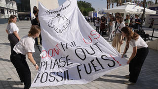 Climate activists at COP28 in Dubai