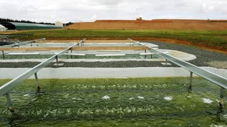 Bassins de culture de micro-algues sur le site du Vigeant à Poitiers