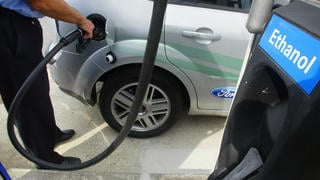 L'éthanol et le biodiesel peuvent être  mélangés aux carburants pétroliers classiques