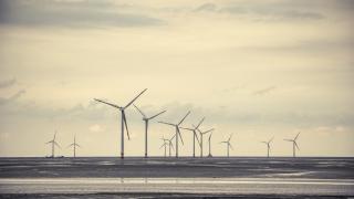 Des éoliennes à l'arrêt à cause des intermittences du vent