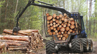 Transport du bois dans un tracteur