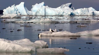 Image of the thaw of an ice field in Patagonia, 1,300 km south of Santiago de Chile
