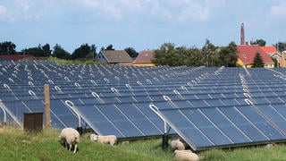 Image des centaines de panneaux solaires thermiques installés à Marstal, au Danemark