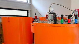 An orange flywheel from the LEVISYS brand
