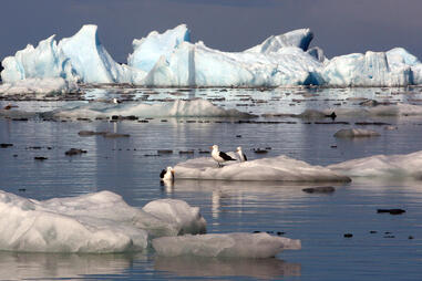 Image of the thaw of an ice field in Patagonia, 1,300 km south of Santiago de Chile