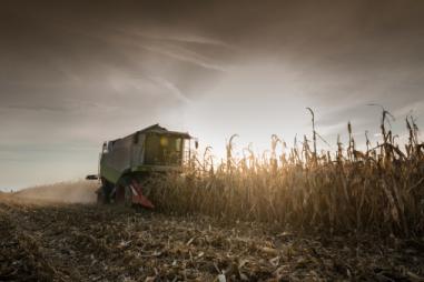Le développement des biocarburants